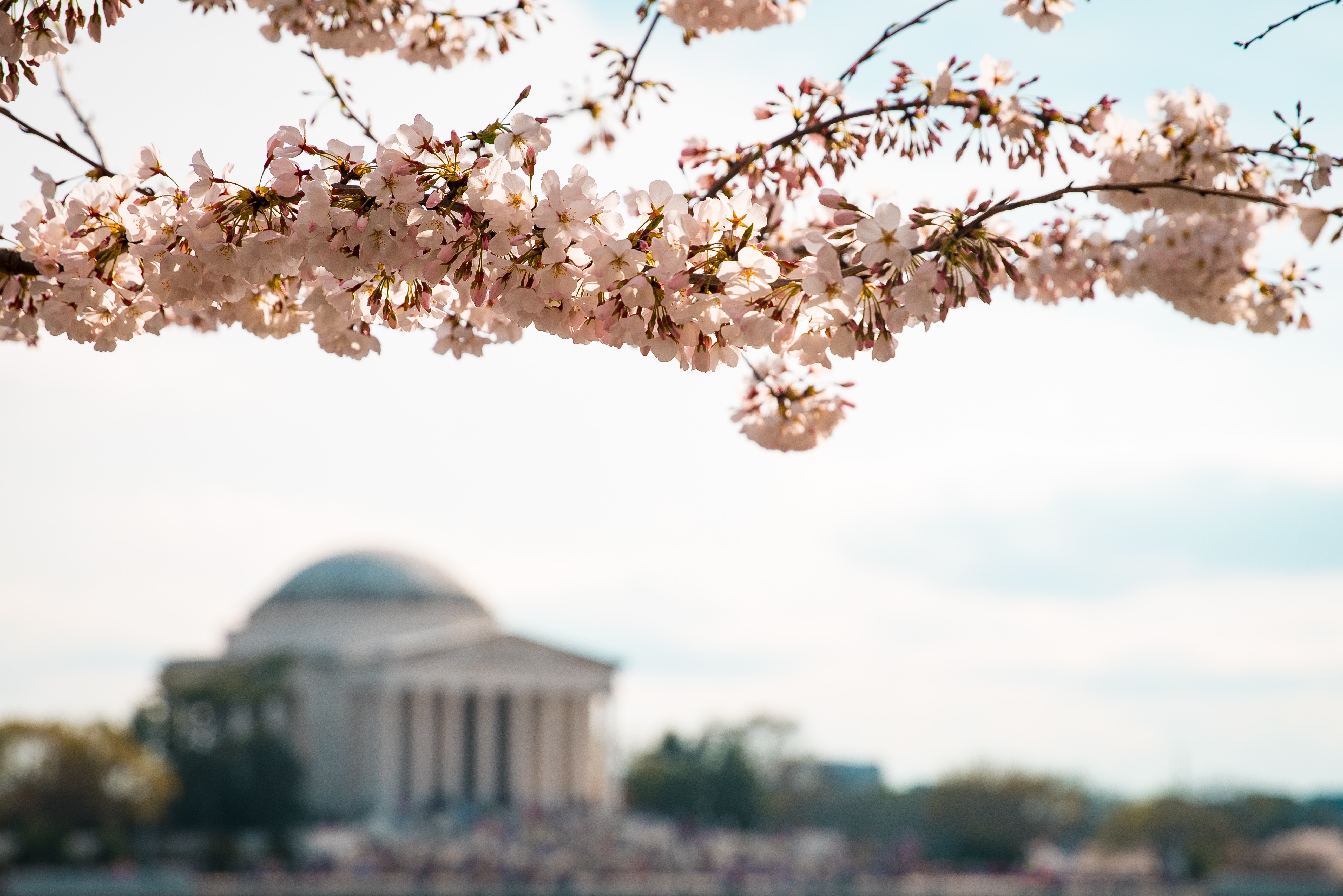 Wifi Free Places To Unplug in DC